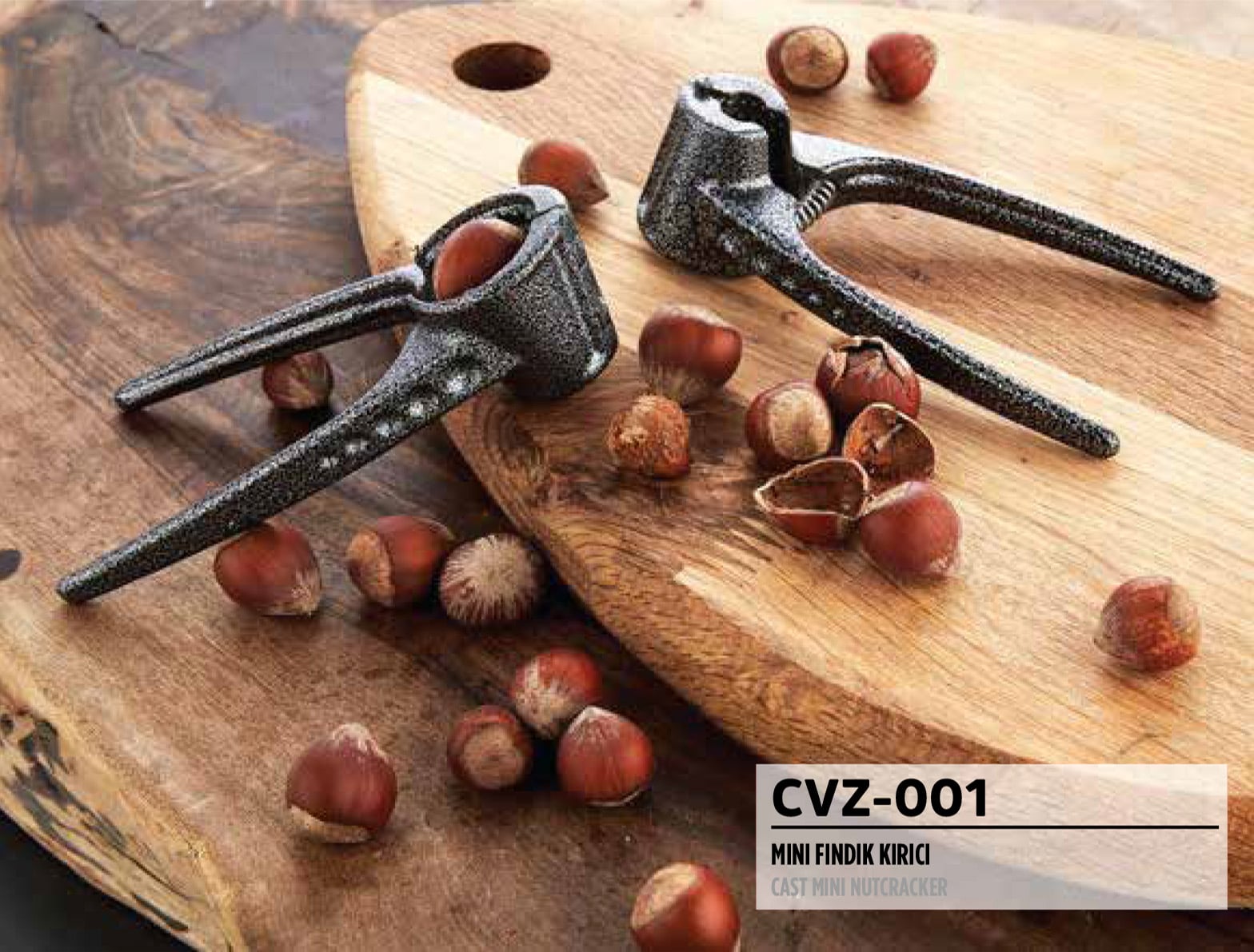 RSS-203 ÇEVİZ KIRACAĞI