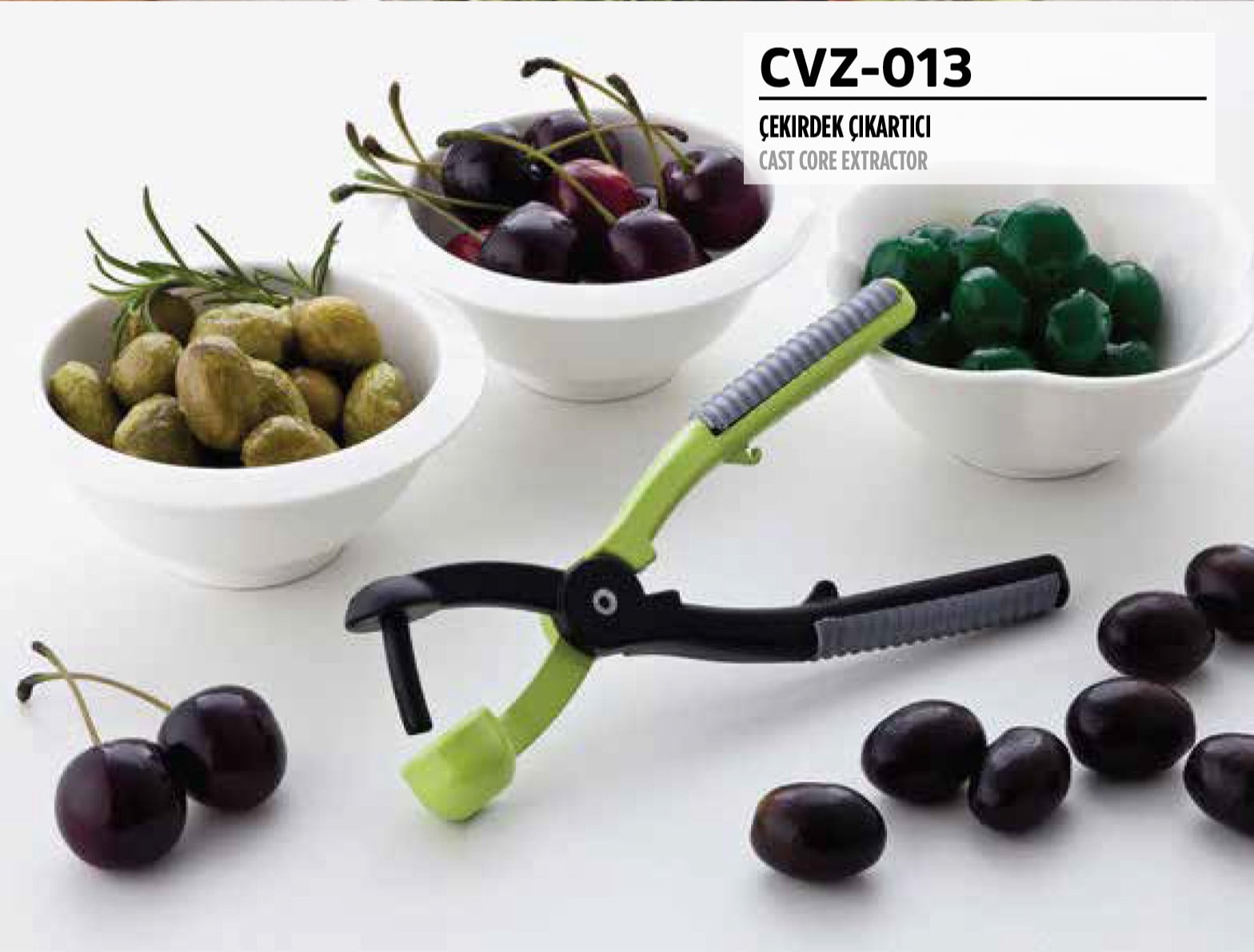 RSS-203 ÇEVİZ KIRACAĞI