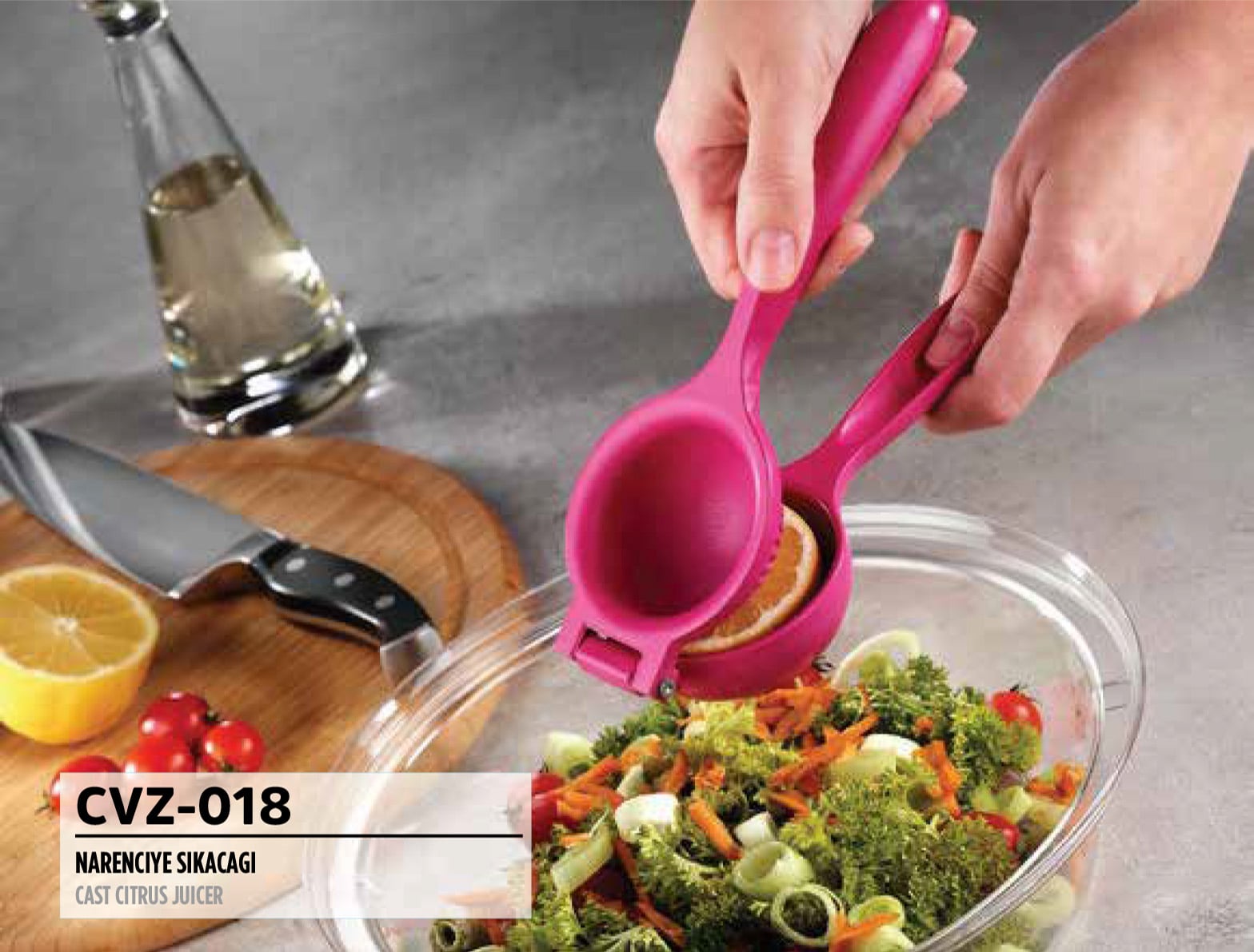 RSS-203 ÇEVİZ KIRACAĞI